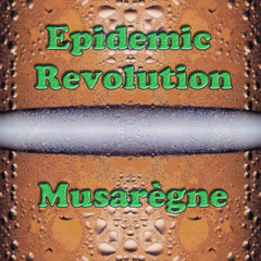 Epidemic Revolution