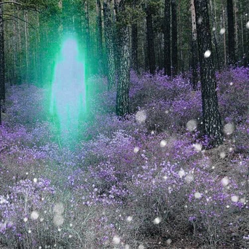 Hbkkgioo ft. WavyFace - Sprite
