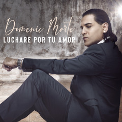 Luchare por Tu Amor (Bachata Version)