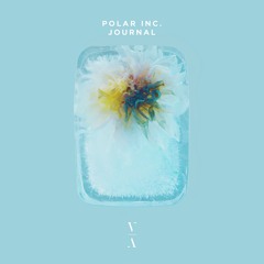 Polar Inc. - Journal