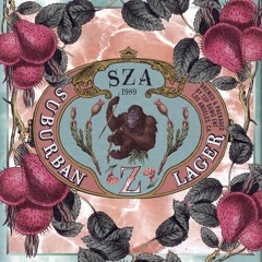 SZA - Sweet November (Slightly Slowed down)