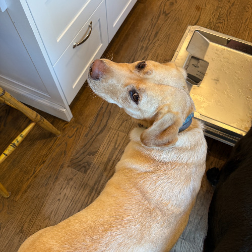 Nils Taylor & Finn Birkeland Techno b2b | Boston, MA | 11.29.2025