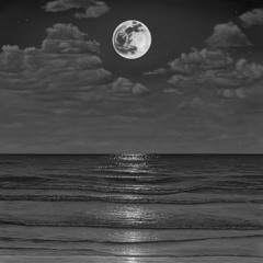 "Last Day" beat only 12.30