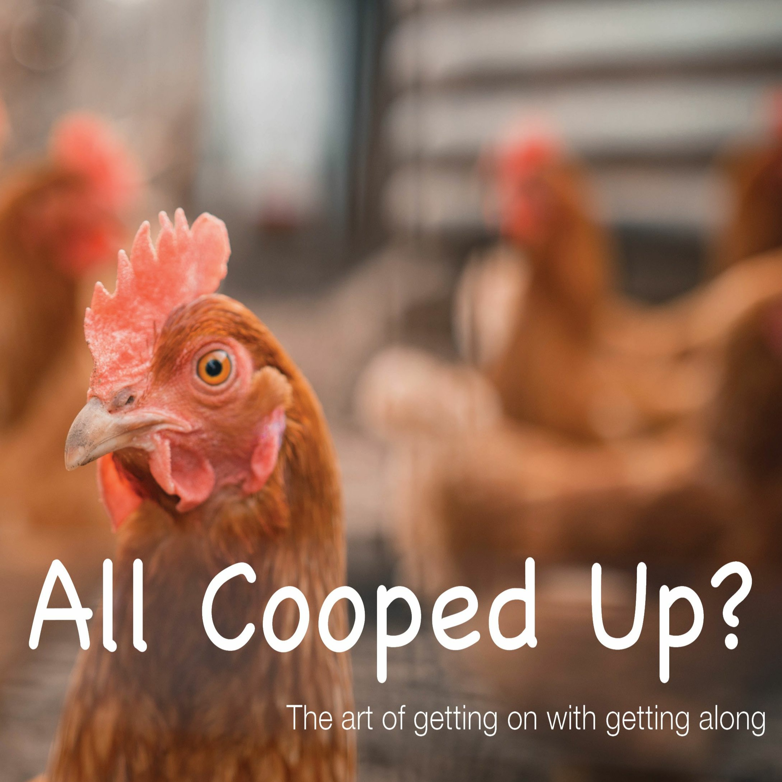 Sunday 2020.04.26 All Cooped Up: Reintroducing myself to me episode artwork