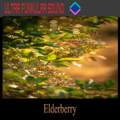 Elderberry