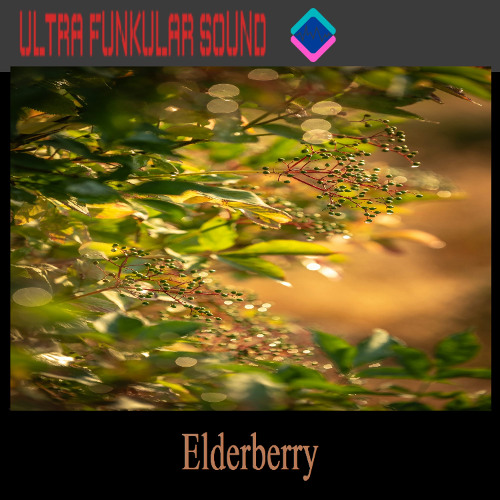 Elderberry - Extended Mix