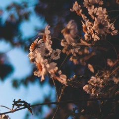 little things