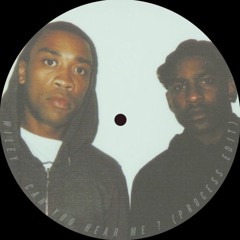 Wiley - Can You Hear Me ? (Process Edit)(FREE DL)