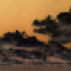Prod Rogue.Net