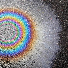 Oil