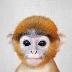 Montana x Lilgee - På topp