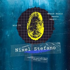 IDENTITY MIX 2024 | AFRO HOUSE MIX by Nixel Stefano mix#1