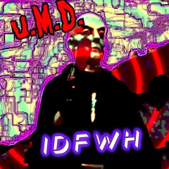 IDFWH (idontfuckwithumans) (Prod. Vince.m10)
