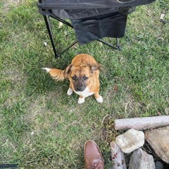 victoria and brian soloooooo.m4a