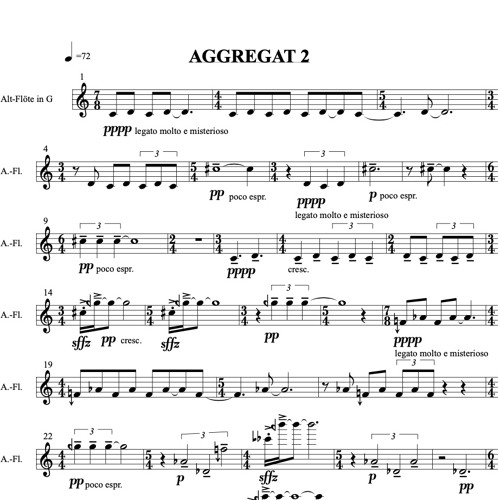 Alexander Strauch - Aggregat 2 For Alto Flute Played With Bass Flute With David Eschmann