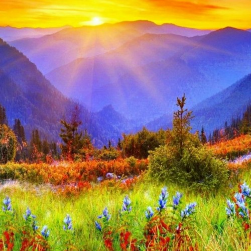 (Ab studio background FREE DOWNLOAD