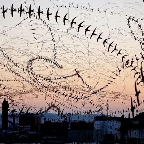 stab my backk-badguy012172004