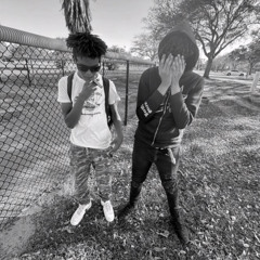lixard.havinn -trapn shi