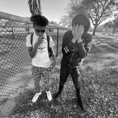 lixard.havinn -trapn shi