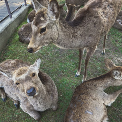 hmu (prod. neverforever)