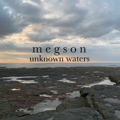 03 - Megson - Marshall Riley's Army