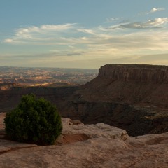 Run #3 - The Tempo Run with Coach Marlee