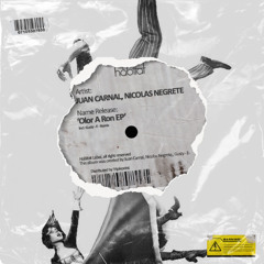 Juan Carnal - The Funk  [Habitat]