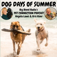 Dog Days of Summer