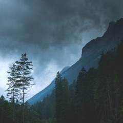 Free Tracks