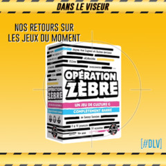 [#DLV] LES JEUX DU MOMENT 🔥 : Opération zèbre