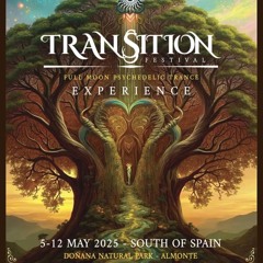 Jorine @ Transition Festival  (Spain)