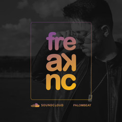 PALOMBEAT AT FREAKNC LABEL