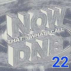 NOW THAT'S WHAT I CALL DNB 2022