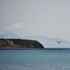 Shores of Connemara 06072025