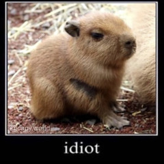 First Beat I've Made While Sober In A Long Time