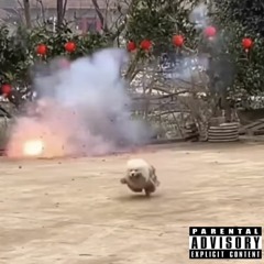 DUMBASS DOG (ft. p3rc GREMLIN)