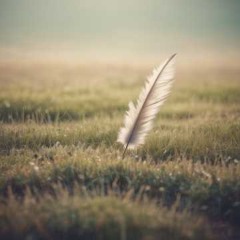 Fragile as a Feather