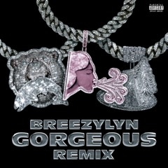 Gorgeous Remix (feat. BreezyLYN)