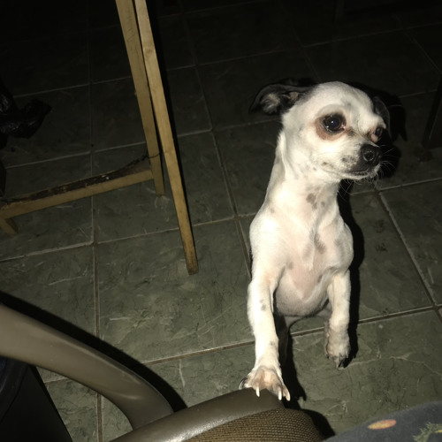 Juice WRLD - Starshine NEW LEAK.mp3