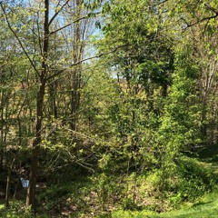 osquinn - ok im cool (blackwinterwells)(slowed + reverb)