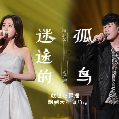 【天赐的声音3 The Treasured Voice 3】 胡彦斌，张碧晨《迷途的孤鸟》