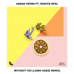 Adnan Veron - Without You (feat. Shayce Opal) [Lindo Habie Remix]