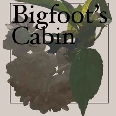 Bigfoot's Cabin