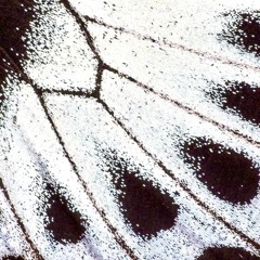 a Path to the Unknown w/ oryon (10/04/25)