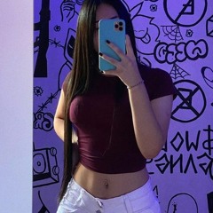 TE VI LEMBREI QUE TU ERA DA MINHA SALA_ ERA SÓ TAPADA NA BONECA DA DANADA - VERSÃO TIKTOK [GV CUNHA]