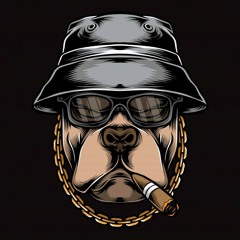 MC GL - PIT SEM COLEIRA (( DDJ BELÃO DO APLO ))
