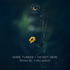 Emre Turkes - I'm Not Here [Beyond The Moon]