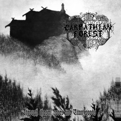 Carpathian Forest