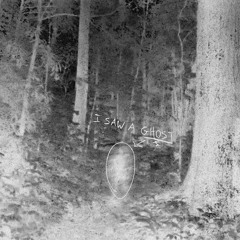 i saw a ghost