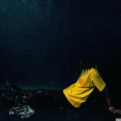 GET RICH & DIE FLY